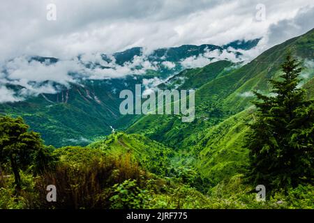 Hügel im Himalaya mit grünen Bäumen, die von Nebel bedeckt sind, und weißen Wolken nach einem Regen. Uttarakhand Indien. Stockfoto