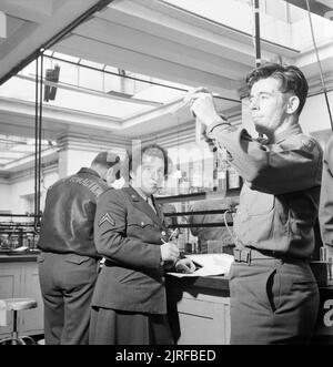 Wissenschaft Studenten bei der Arbeit im Labor der US-Armee Universität, Shrivenham, Wiltshire, in 1945. Wissenschaft Studenten bei der Arbeit im Labor der US-Armee Universität, shrivenham. Von links nach rechts sind es: Staff Sergeant William F Lowdermilk (zurück zu Kamera, das Tragen eines fliegenden Jacke mit Reise der Wörter für Aktion" auf der Rückseite), Barbara L Royea und Pfc Leo Reilly. S/Sgt Lowdermilk ist auf Urlaub von 96Th Bombardement Group. Barbara Royea eine Pause von der Arbeit an den US Air Transport Command Basis in Wigginton Chemie und Biologie zu studieren: Sie will eine Krankenschwester zu werden. Pfc-Reilly, ser Stockfoto