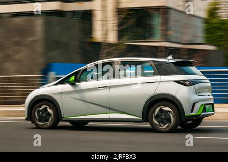 BYD Dolphin kleiner elektrischer Heckklappe, der auf der Straße im Putuo District, Shanghai, China, gefahren wird. Stockfoto