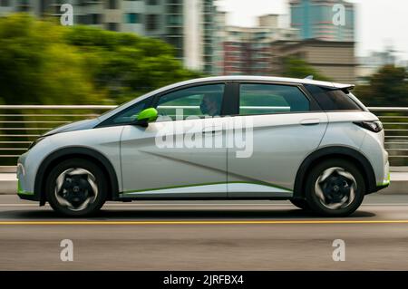 BYD Dolphin kleiner elektrischer Heckklappe, der auf der Straße im Putuo District, Shanghai, China, gefahren wird. Stockfoto