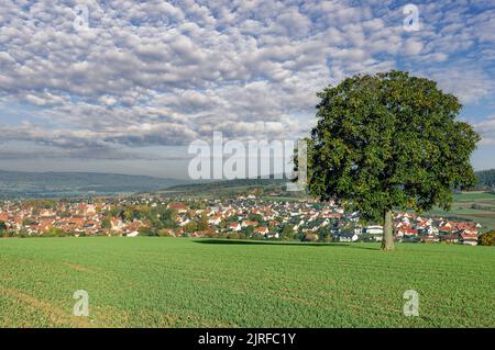 Ostheim vor der Rhön,Unterfranken,Bayern,Deutschland Stockfoto