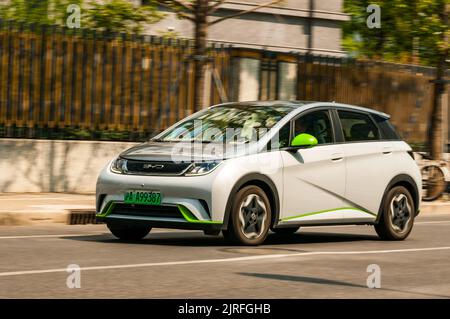 BYD Dolphin kleiner elektrischer Heckklappe, der auf der Straße im Putuo District, Shanghai, China, gefahren wird. Stockfoto