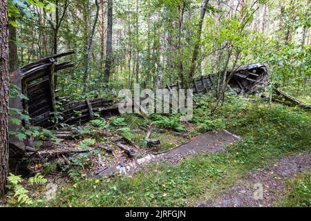Altes verlassene hölzerne Fischerboot im Wald. Bootfriedhof in der Nähe der Ostsee in Lettland Stockfoto