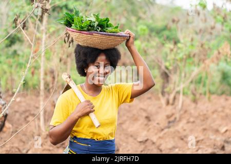 afrikanischer Bauer, der Gemüse und eine Hacke trägt Stockfoto