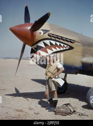 Flight Lieutenant A R Costello von Nr. 112 Squadron an seiner Curtiss Kittyhawk Mk I bei Sidi Heneish, Ägypten, April 1942. Flight Lieutenant A R Costello von Nr. 112 Squadron RAF stehend durch die Nase seines Curtiss Kittyhawk Mark IA bei Sidi Heneish, Ägypten. Stockfoto