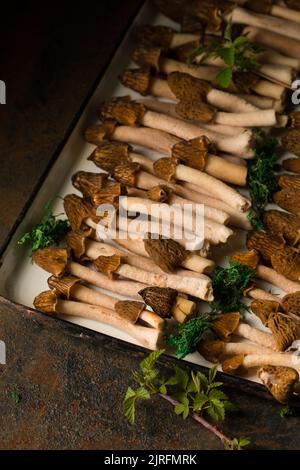 Morelpilze auf einem weißen Metalltablett Stockfoto
