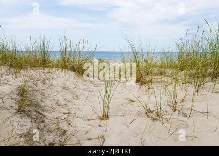 Sandstrand mit trockenem und gelbem Gras, Schilf, Stielen und blauem Ostsee Stockfoto