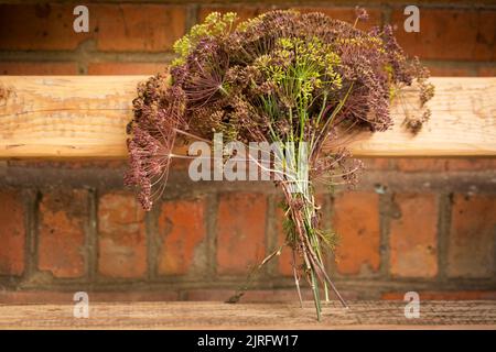 Ein Bouquet von reifen Dillschirmen mit Samen auf einer Holzbank Stockfoto