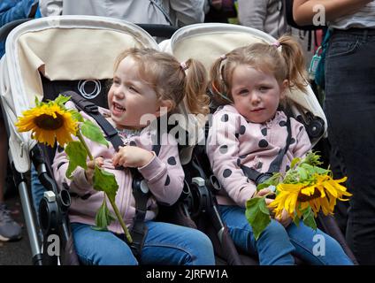 Edinburgh, Calton Hill, Schottland, Großbritannien. 24.. August 2022. Veranstaltung zum 31.. Jahrestag der ukrainischen Unabhängigkeit. In Edinburgh trafen sich die Menschen um 1pm Uhr am Panel of Saint Wolodymyr an der Treppe zum Calton Hill in der Regent Road, wo Sonnenblumensträuße gelegt wurden. Edinburgh ist eine Partnerstadt von Kiew, es war wahrscheinlich, dass es eine internationale Berichterstattung in den Medien geben würde, die in der Ukraine zu sehen wäre. Kredit: ArchWhite/alamy Live Nachrichten. Stockfoto