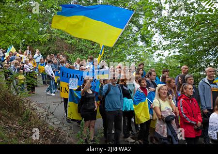 Edinburgh, Calton Hill, Schottland, Großbritannien. 24.. August 2022. Veranstaltung zum 31.. Jahrestag der ukrainischen Unabhängigkeit. In Edinburgh trafen sich die Menschen um 1pm Uhr am Panel of Saint Wolodymyr an der Treppe zum Calton Hill in der Regent Road, wo Sonnenblumensträuße gelegt wurden. Edinburgh ist eine Partnerstadt von Kiew, es war wahrscheinlich, dass es eine internationale Berichterstattung in den Medien geben würde, die in der Ukraine zu sehen wäre. Kredit: ArchWhite/alamy Live Nachrichten. Stockfoto