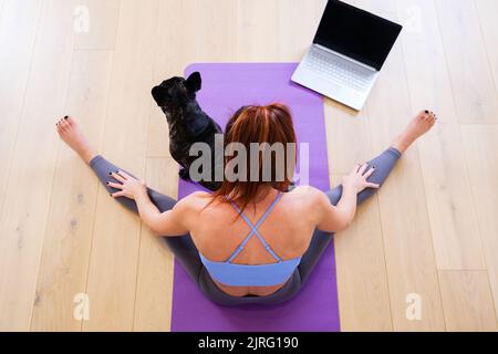 Draufsicht FIT Sportlich gesunde Frau sitzt auf der Matte, macht nach den Übungen und schaut sich den Online-Yoga-Kurs auf dem Laptop an. Sein Moorhund bleibt in Gesellschaft Stockfoto