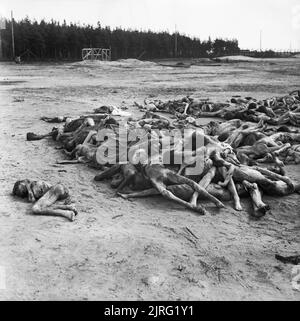 Die Befreiung der Konzentrationslager Bergen Belsen, April 1945 die Leichen der Toten liegen abgestreift von ihrer Kleidung und in Haufen im Lager verlassen. Stockfoto