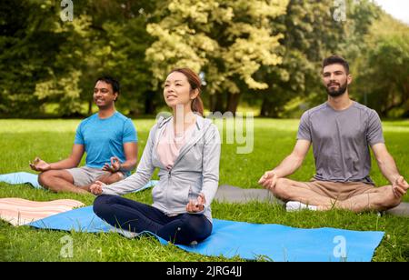 Eine Gruppe von Menschen, die im Sommerpark Yoga machen Stockfoto