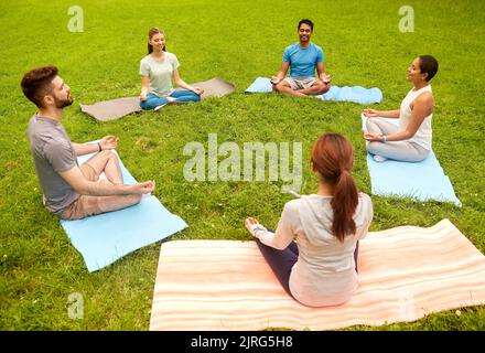 Eine Gruppe von Menschen, die im Sommerpark Yoga machen Stockfoto
