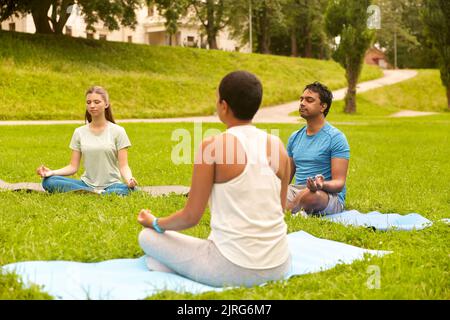 Eine Gruppe von Menschen, die im Sommerpark Yoga machen Stockfoto