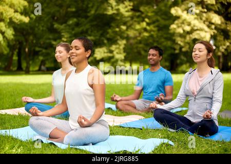 Eine Gruppe von Menschen, die im Sommerpark Yoga machen Stockfoto