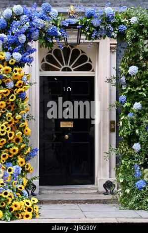 London, Großbritannien. Sonnenblumen für Solidarität. 10 der Eingang der Downing Street wurde mit der Nationalblume der Ukraine, der Sonnenblume, geschmückt, um den 31.. Jahrestag der Unabhängigkeitserklärung der Ukraine zu feiern. Stockfoto