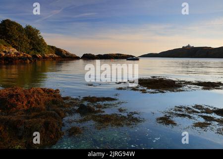 Morgenlicht über einer kleinen Bucht in der Nähe von Amlwch Port und Point Lynus, Anglesey, Nordwales. VEREINIGTES KÖNIGREICH. Stockfoto