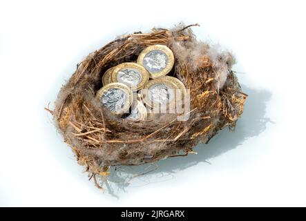 In Vögeln gestapelte 1-Pfund-Münzen brüten Stockfoto