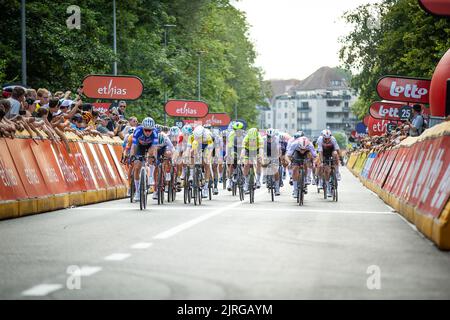 Das Rudel von Fahrern, das während des eintägigen Radrennens „Druivenkoers“, 192 km von und nach Overijse, am Mittwoch, den 24. August 2022, in Aktion gezeigt wurde. BELGA FOTO JAMES ARTHUR GEKIERE Stockfoto