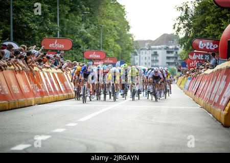 Das Rudel von Fahrern, das während des eintägigen Radrennens „Druivenkoers“, 192 km von und nach Overijse, am Mittwoch, den 24. August 2022, in Aktion gezeigt wurde. BELGA FOTO JAMES ARTHUR GEKIERE Stockfoto