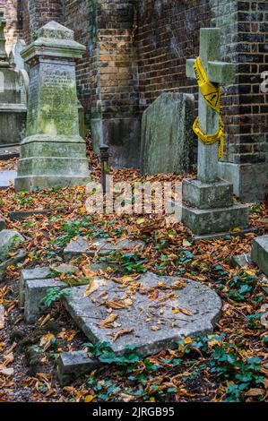 London, Großbritannien. 24. August 2022. Heißes Wetter führt zu einem frühen Laubabfall, wie hier auf dem Friedhof von Highgate zu sehen ist.London, Großbritannien. 24 August 2022. Kredit: Guy Bell/Alamy Live Nachrichten Stockfoto