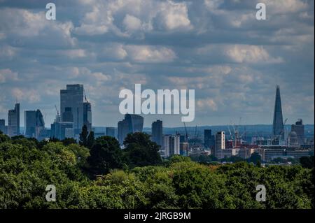 London, Großbritannien. 24. August 2022. Viele Bäume auf der Heath sind immer noch voll grün, trotz des heißen Wetters, das in der Wasserregion Themse zu einem Verbot von Schlauchleitungen führte.London, Großbritannien. 24 August 2022. Kredit: Guy Bell/Alamy Live Nachrichten Stockfoto