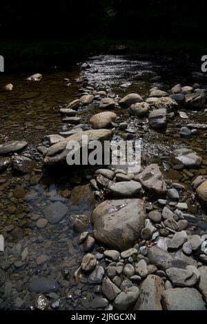 Naturwaldweg am Ystwyth Fluss in Ceredigion, Wales, Großbritannien Stockfoto