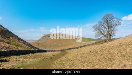 Der Yorkshire Dales National Park, North Yorkshire, England, Großbritannien, blickt an einem schönen Tag auf einen Teil des Dales Way mit schönen Bäumen Stockfoto