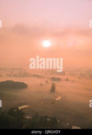 Atemberaubender Nebelmorgen auf einer Frühlingsstirne mit einem Fluss und einem Baum in der Ferne. Vertikale Drohne aus dem hohen Winkel geschossen. Nebel breitet sich über das Tal mit Bäumen aus. Stockfoto