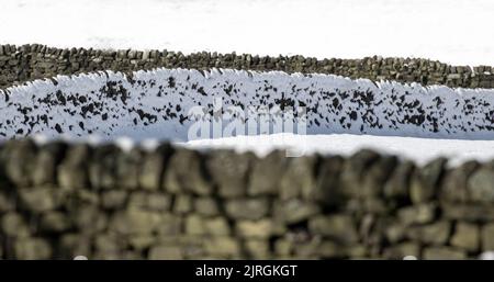 Künstlerisches Bild von alten Steinwänden, die an einem sonnigen Frühlingstag von Schnee gestrahlt wurden, West Yorkshire, England, Großbritannien Stockfoto