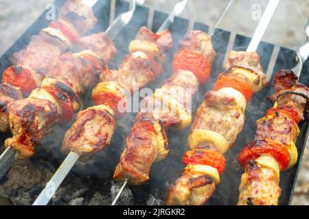 Gegrilltes, gebratenes Schweinefleisch, Fleischstücke auf Spieße. Prozess des Kochens von mariniertem Fleisch mit Gewürzen, Zwiebeln und Tomaten. Picknick im Freien, Grill. Rindfleisch Stockfoto