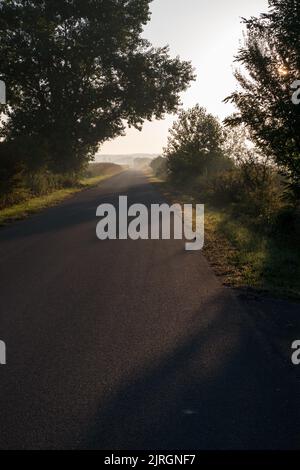 Die Straße, die an der Biegung durch Sonnenlicht beleuchtet wird. Sie vertreten die Inspiration, Gottes Erscheinungen, Aufklärung Stockfoto