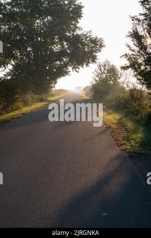 Die Straße, die an der Biegung durch Sonnenlicht beleuchtet wird. Sie vertreten die Inspiration, Gottes Erscheinungen, Aufklärung Stockfoto