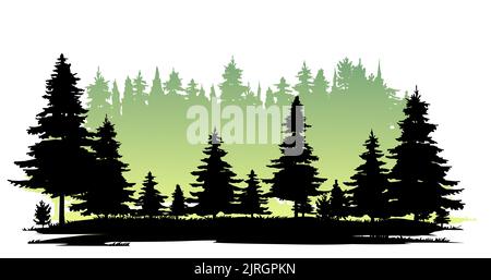 Lichtung in Taiga. Nadelwald mit Tannen und Kiefern. Landschaft mit Bäumen und Gras. Silhouettenbild. Isoliert auf weißem Hintergrund. Vektor Stock Vektor