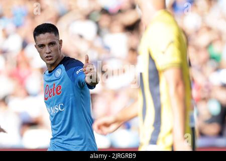 Napoli, Italien. 24. August 2022. Giacomo Raspadori vom SSC Napoli beim Fußballfreundschaftsspiel zwischen SSC Napoli und SS Juve Stabia im Stadion Diego Armando Maradona in Napoli (Italien), 24.. August 2022. Foto Cesare Purini/Insidefoto Kredit: Insidefoto di andrea staccioli/Alamy Live News Stockfoto