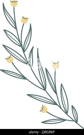 Botanisches Druckelement. Gelbe Blüten Kräuterzweig Stock Vektor