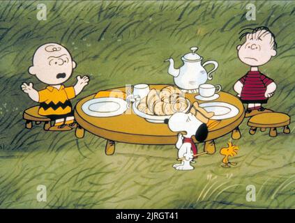 CHARLIE BROWN, SNOOPY, WOODSTOCK, LINUS, BON VOYAGE CHARLIE BROWN (UND NICHT WIEDERKOMMEN!!), 1980 Stockfoto