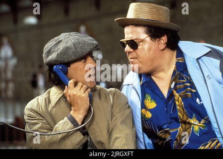 ROBERT LINDSAY, Robbie Coltrane, BERT RIGBY DU bist ein Narr, 1989 Stockfoto