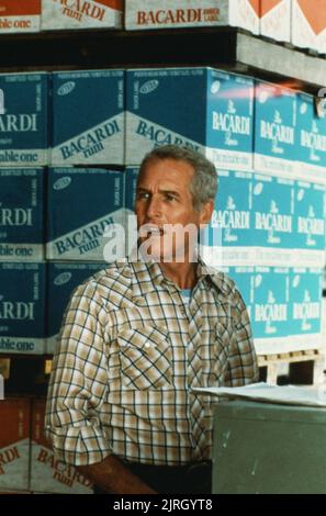 PAUL NEWMAN, Fehlen von Bosheit, 1981 Stockfoto