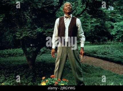 MORGAN FREEMAN, Driving Miss Daisy, 1989 Stockfoto