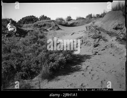 Besuch von Kapiti, Kapiti Island - 5. Mai 1929, 05. Mai 1929, von Leslie Adkin. Schenkung des Gutsbesitzes der Familie G. L. Adkin, 1964. Stockfoto