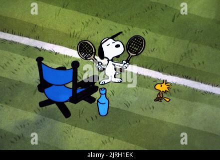 SNOOPY, Woodstock, Bon voyage Charlie Brown (UND KOMMEN NICHT WIEDER!!), 1980 Stockfoto