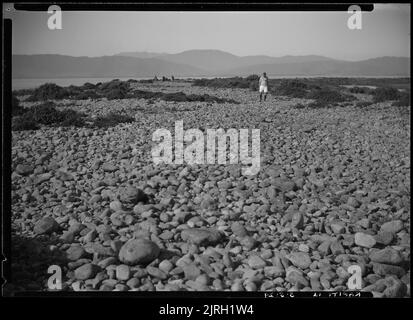 Besuch von Kapiti, Kapiti Island - 5. Mai 1929, 05. Mai 1929, von Leslie Adkin. Schenkung des Gutsbesitzes der Familie G. L. Adkin, 1964. Stockfoto