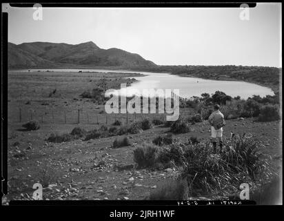 Besuch von Kapiti, Kapiti Island - 5. Mai 1929, 05. Mai 1929, von Leslie Adkin. Schenkung des Gutsbesitzes der Familie G. L. Adkin, 1964. Stockfoto