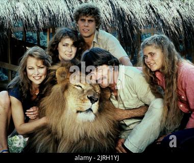 MICHELLE PHILLIPS, SHAWN STEVENS, TOM SKERRITT, ANN-MARIE MARTIN, TANA HELFER, WILDE ERNTE, 1981 Stockfoto