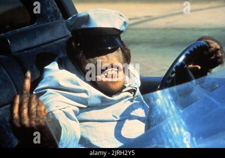 SCHIMPANSEN ALS SCHÄFER, CANNONBALL RUN II, 1984 Stockfoto