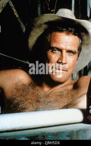 LEE MAJORS, FALL GUY, 1981 Stockfoto