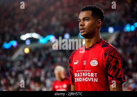 EINDHOVEN, NIEDERLANDE - 24. AUGUST: Cody Gakpo vom PSV vor dem UEFA Champions League Play-Off Second Leg Match zwischen PSV und Rangers am 24. August 2022 im Philips Stadion in Eindhoven, Niederlande (Foto: Geert van Erven/Orange Picters) Stockfoto