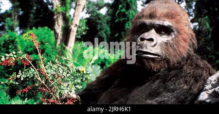 GORILLA, KÖNIG KONG LEBT, 1986 Stockfoto